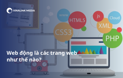 Web động là các trang web như thế nào? Tìm hiểu web động và web tĩnh